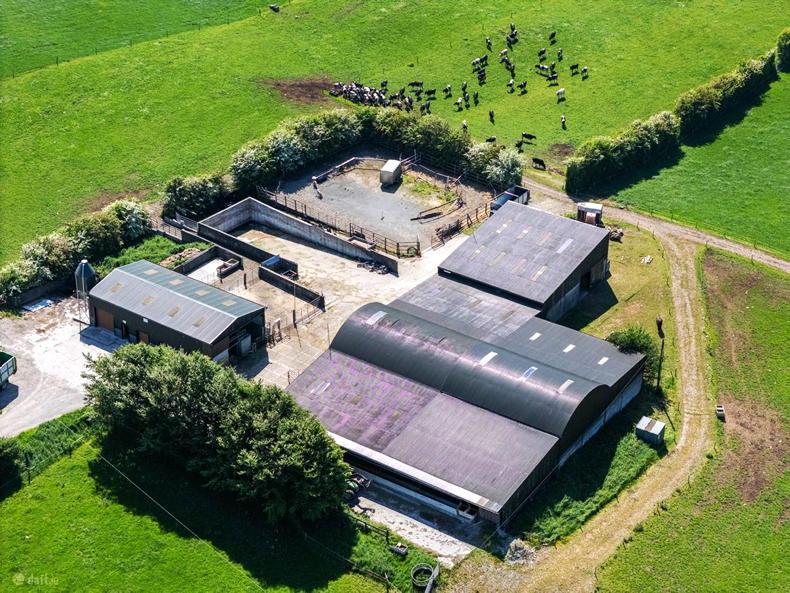 Lake County farm a dairy good deal for €950,000