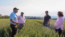 Watch: gate closed on a now promising winter wheat crop