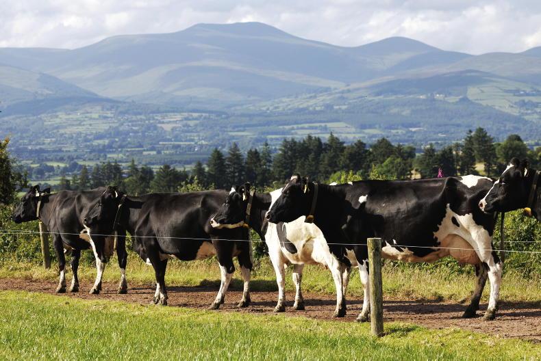 ‘Heavy capital investment’ needed to meet new slurry storage rules