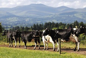 ‘Heavy capital investment’ needed to meet new slurry storage rules