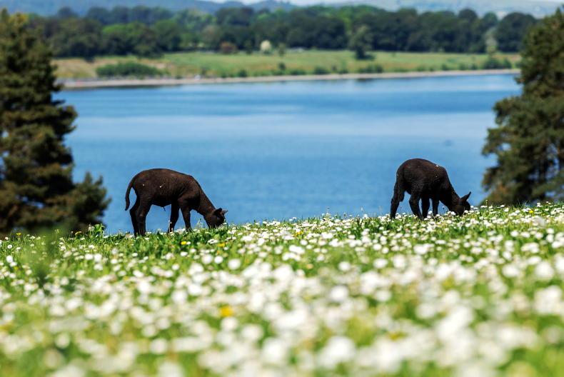 Heat dome brought exceptionally high temperatures in June