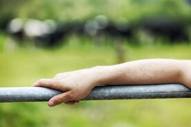 More investment needed to meet climate targets and avoid costly inaction - IFA