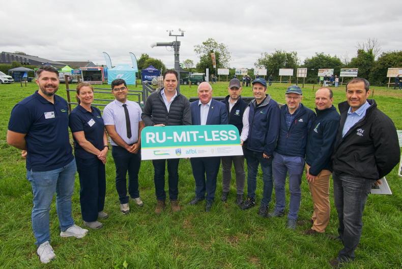 New project to investigate methane-reducing feed additives in cattle