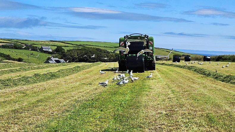 Farmer Writes: making your farm easier to work at