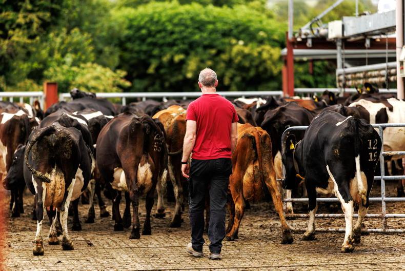 More than half of farms considered economically viable in 2025 