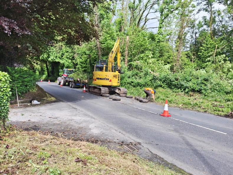 Farmers left with the burden of ash dieback