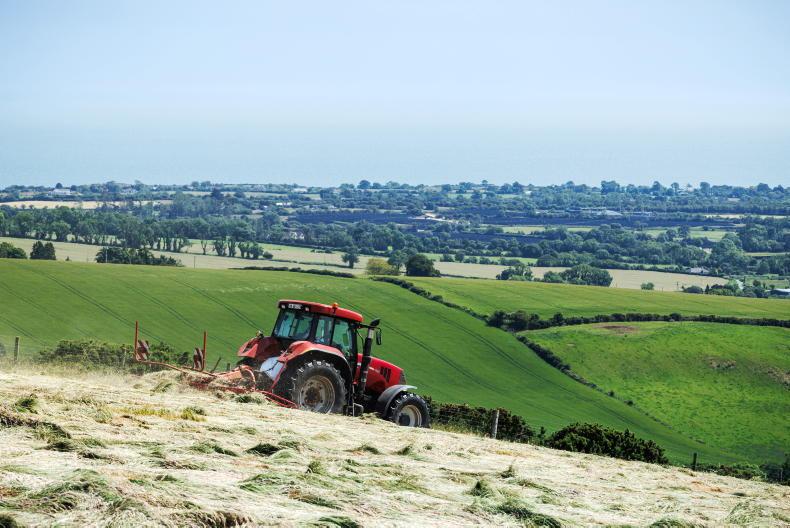 Highest-ever incomes for suckler and sheep farms
