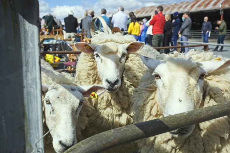 €2.50/kg for Galway Wool in 2026
