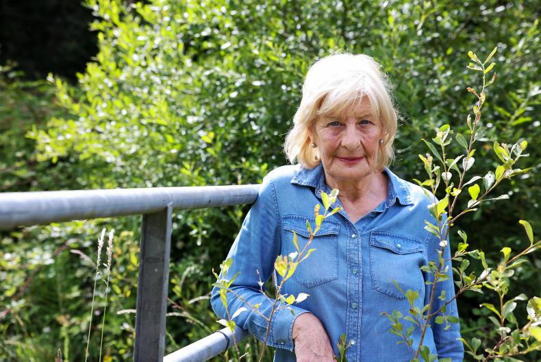 Coillte embroiled in bitter partnership breakup
