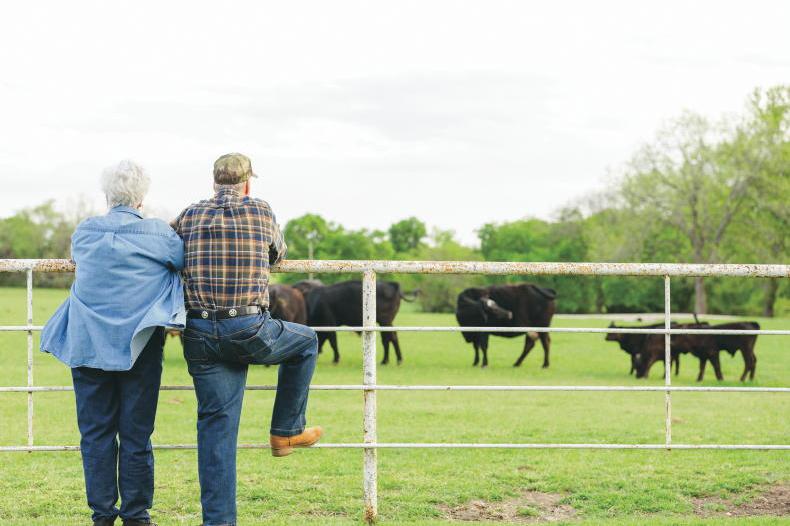 10 succession planning myths every farming family should know