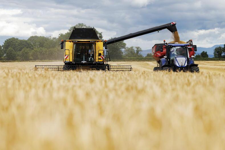 Grain Trends: grain steady, oilseed rape up