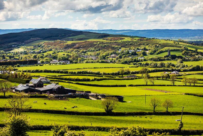 Beef sector the biggest loser in new land review