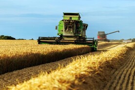 SIM farmers left in limbo as harvest gets underway