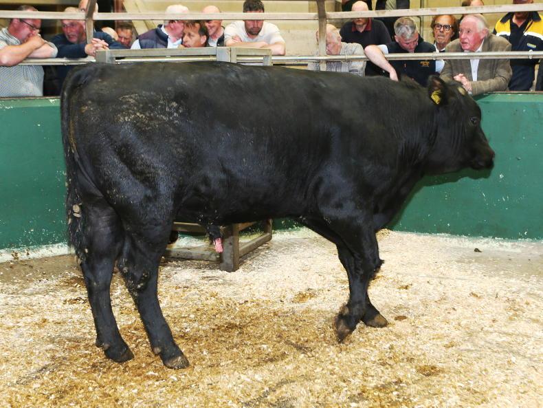 Northern View: summer beef trade heating up in NI