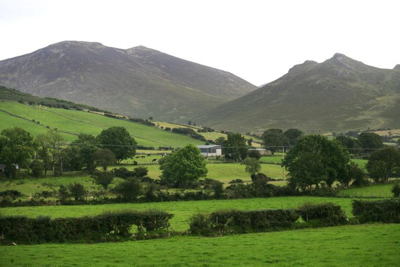 Muir to chair new Mournes group