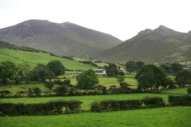 Muir to chair new Mournes group