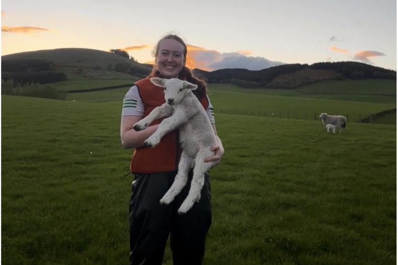 ASA bursary: how sheep genetics shaped a Mayo student’s placement