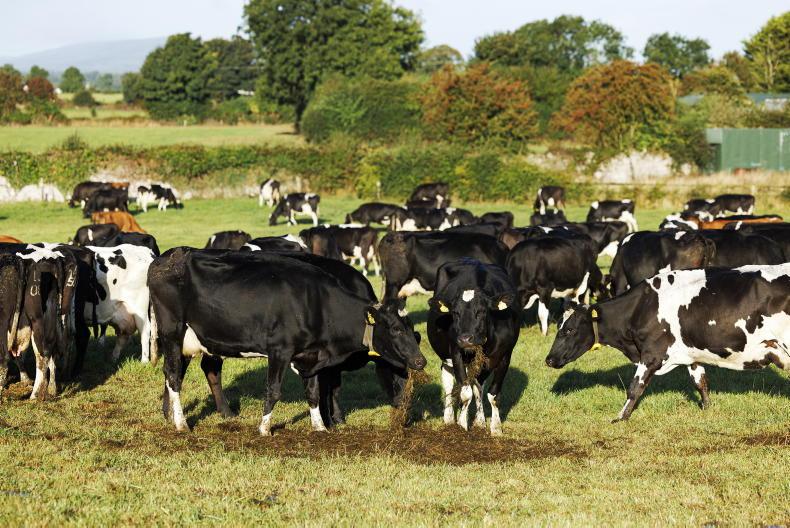 Dairy management: leaning into a looming drought