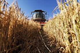 No need to cultivate stubbles after harvest as rule removed