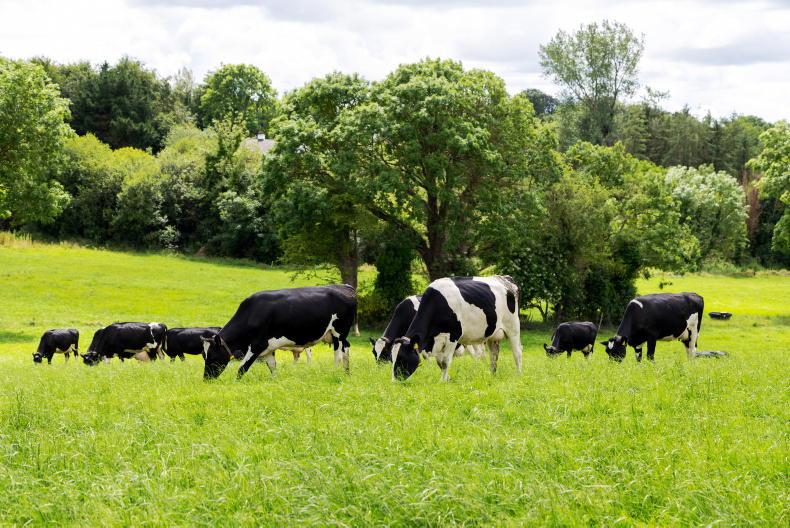 Fertiliser rebate included in Tirlán's €1.7m weather support package
