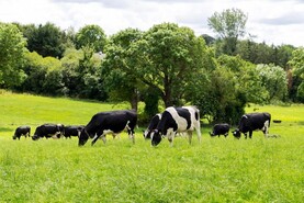 Fertiliser rebate included in Tirlán's €1.7m weather support package