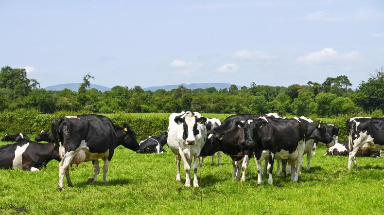 IFA calls for co-ops to maximise June milk prices