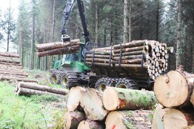 Forestry machinery grant opens for applications