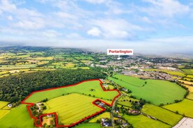 Laois land smashes guide price by 77% at auction