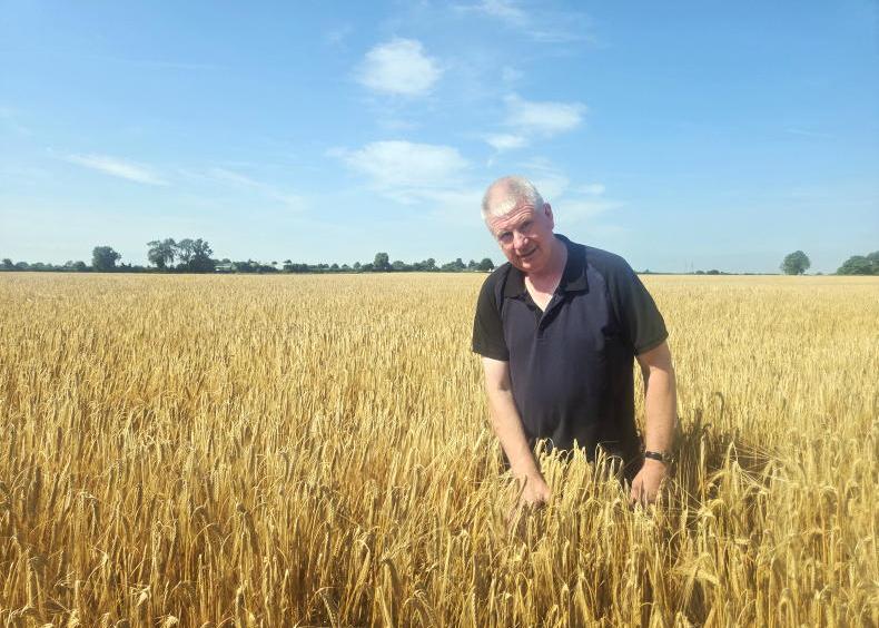 Good barley, good weather and a good rotation