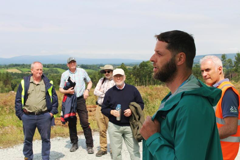 Export markets for windblown timber essential