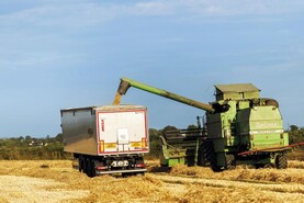 Choose native oats instead of imported palm kernel – IFA