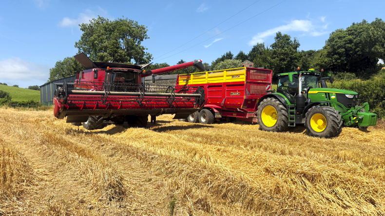 Low moisture grain and thriving maize