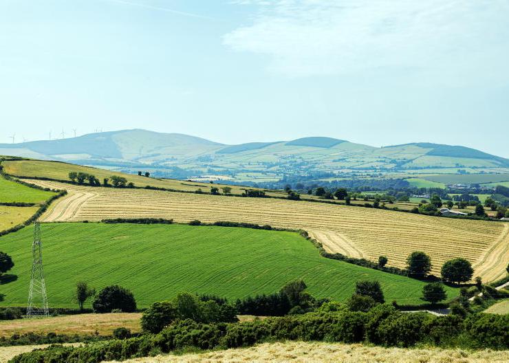 Home Farm: grass slows as harvest starts 