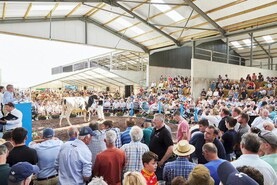 Watch: dreams come true for Cedarmore