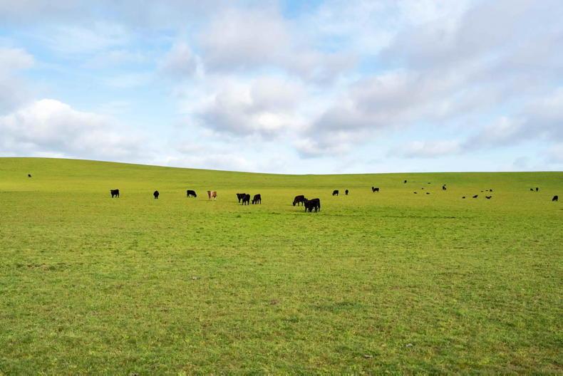 Biggest farm in Tasmania bought by UK fund Gresham House