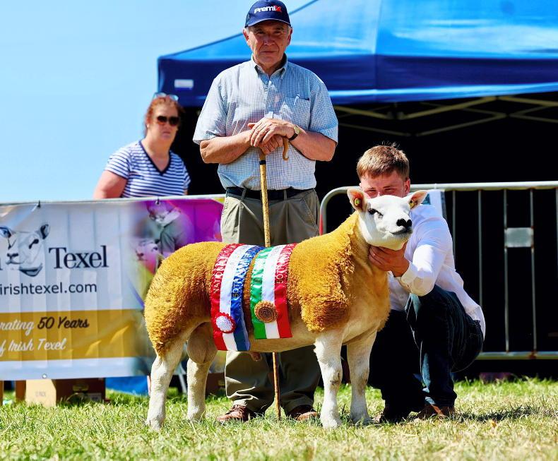 Jaguar pounces to take national Texel title