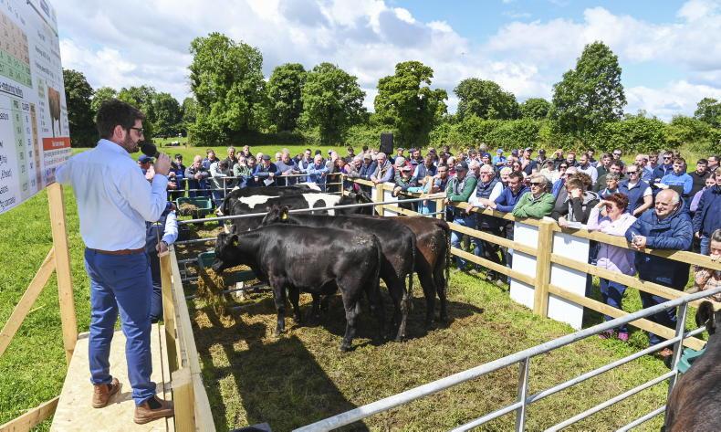 What does it take to build and operate a resilient dairy-beef enterprise? 