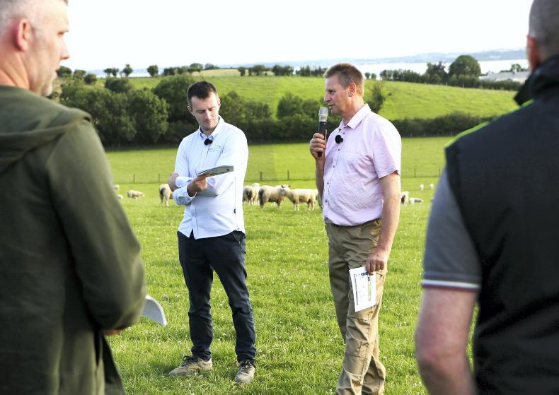 Dry conditions to fix grass surplus