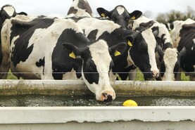 Uisce Éireann delays water shut off after farmers raise heatwave fears
