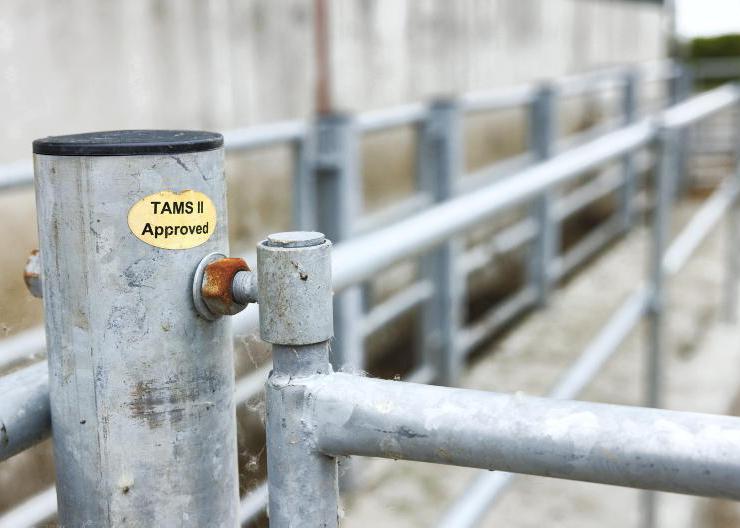 Farmers win only a third of appeals against Department 