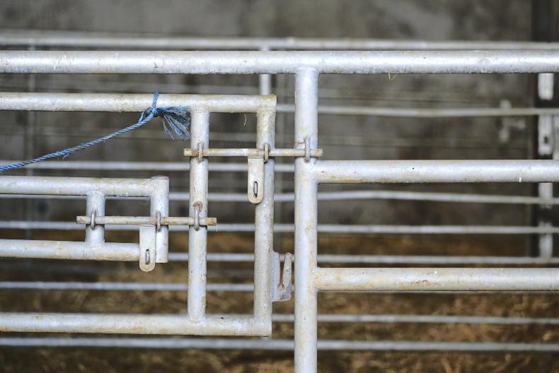 Department destroys cattle on two farms