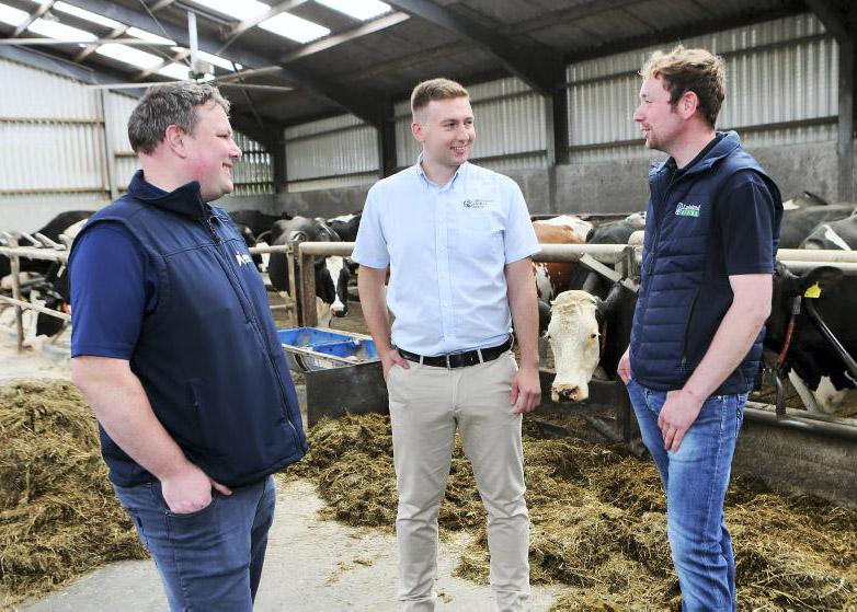 High milk output from robot in Antrim