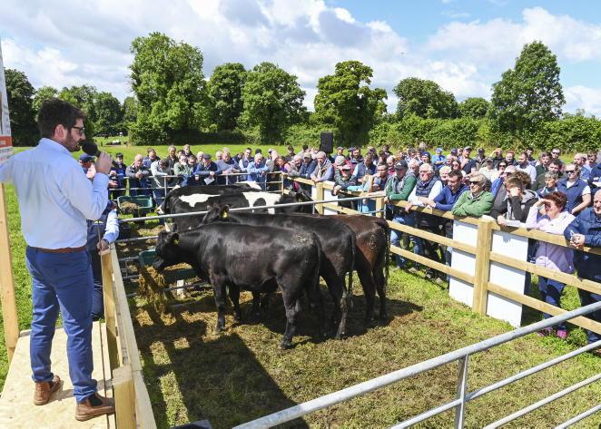 Tipp dairy-beef farm returns €74/hour worked