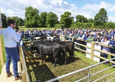 Tipp dairy-beef farm returns €74/hour worked