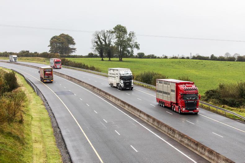 Live exporters fear space requirements change imminent