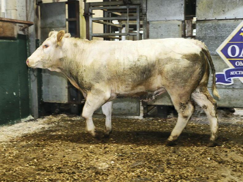 Profits up 13% at Foyle Food Group