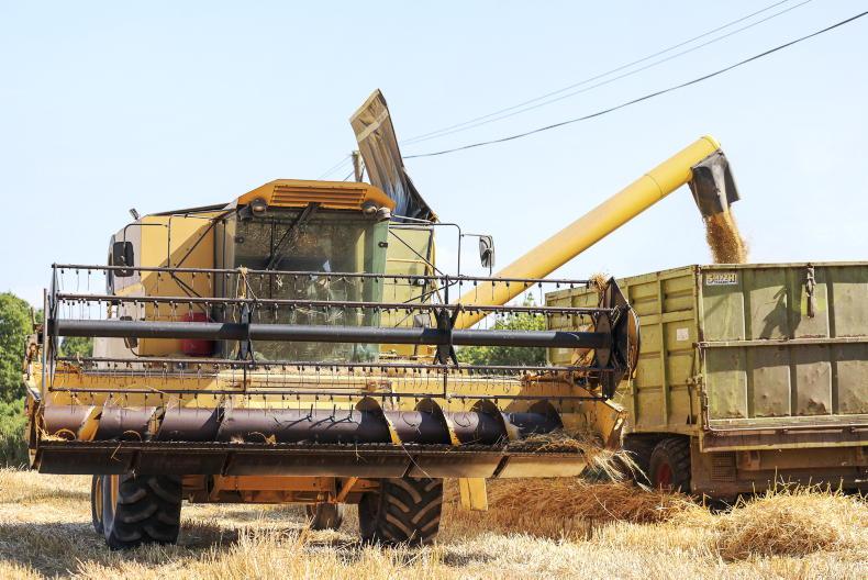 Grain Trends: prices lift this week