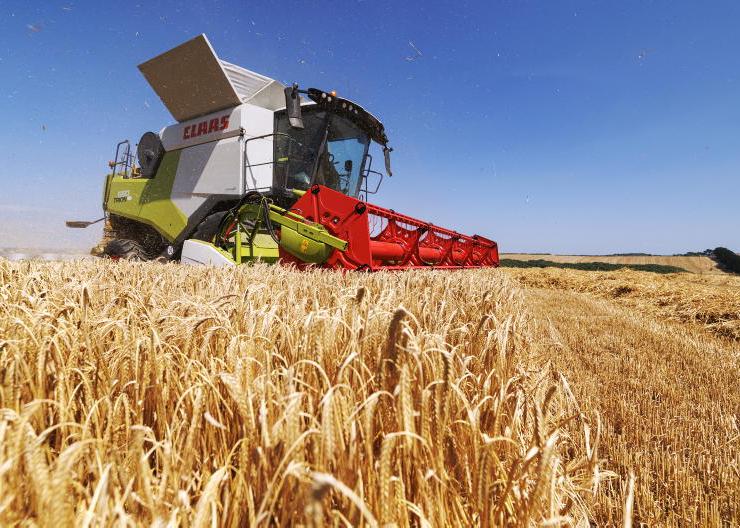 Dream harvest for winter barley in NI