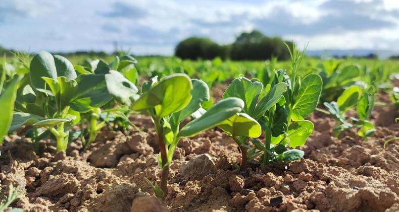 AMS notifications begin issuing for land use queries