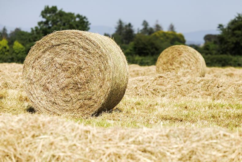 Beef Management: grass supplies, marginal ground, and hay and straw purchases